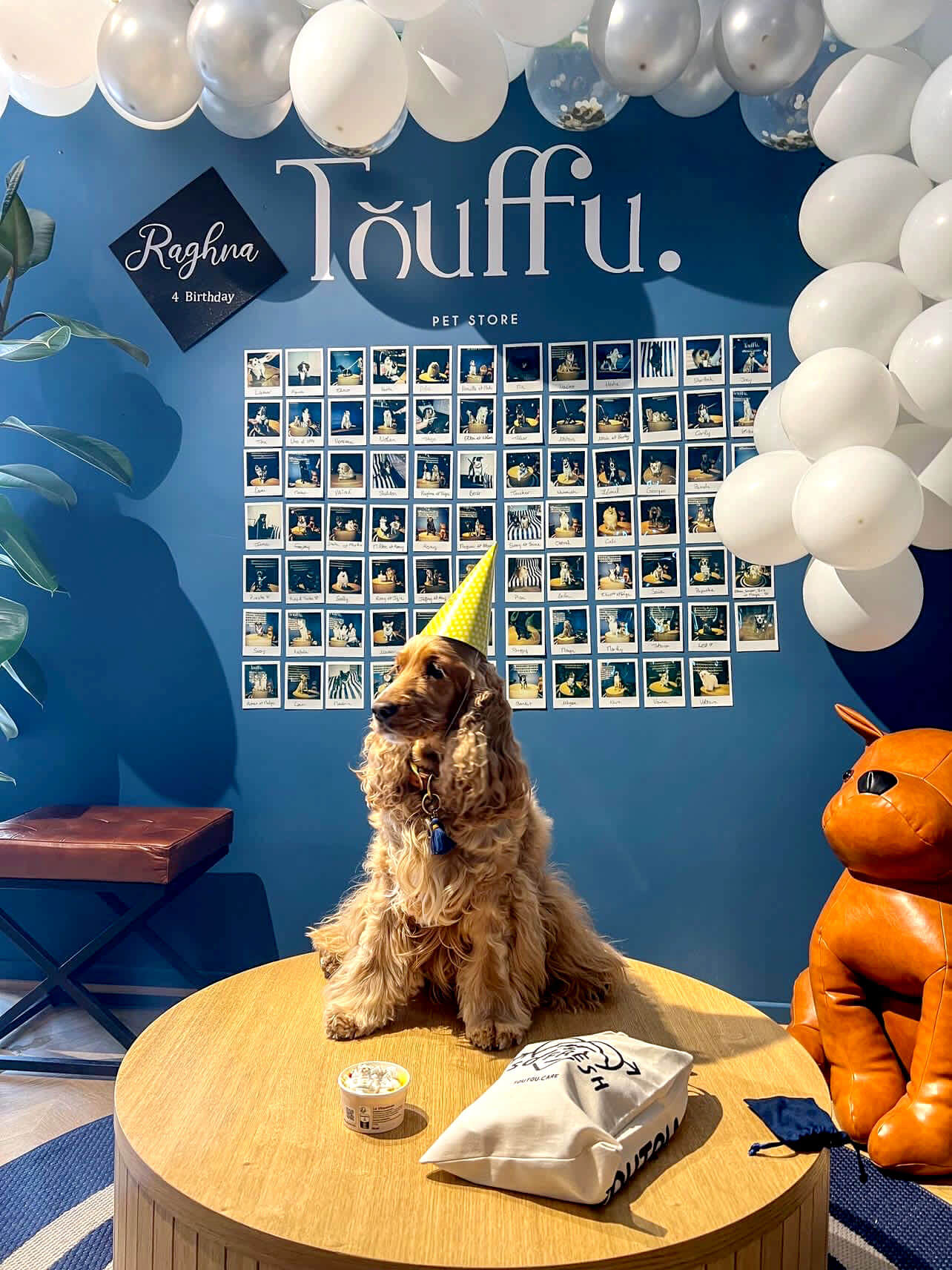 organiser anniversaire chien dijon